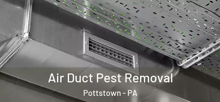  Air Duct Pest Removal Pottstown - PA