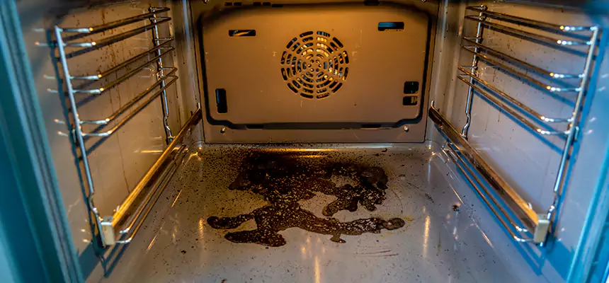 Our Dryer Vent Mold Cleaning Services in Pottstown, PA