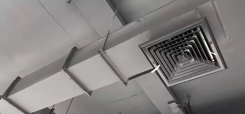 Our Rodent Droppings In Vents Services in Pottstown, PA