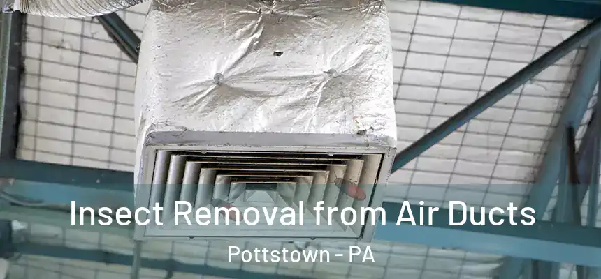  Insect Removal from Air Ducts Pottstown - PA
