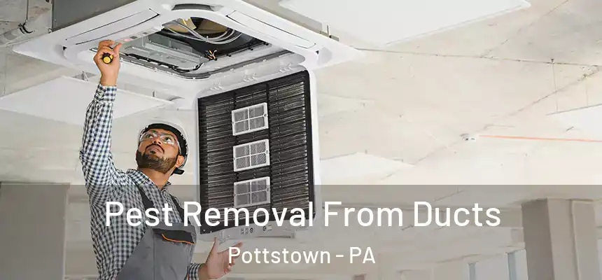 Pest Removal From Ducts Pottstown - PA