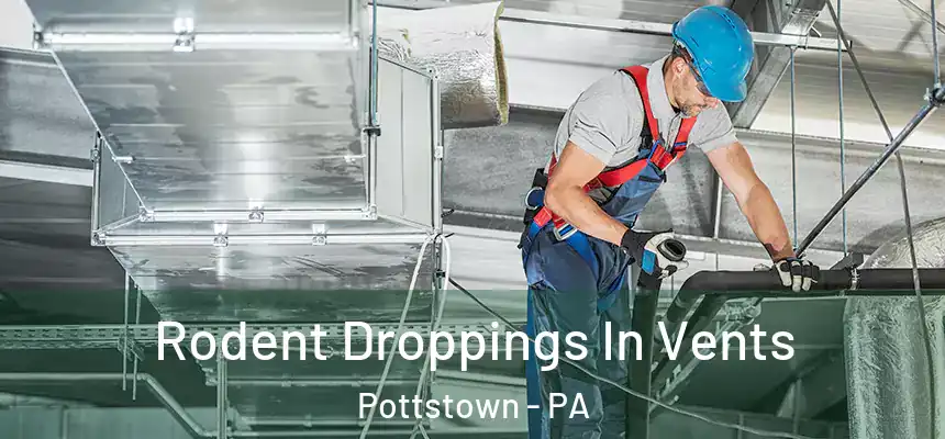  Rodent Droppings In Vents Pottstown - PA