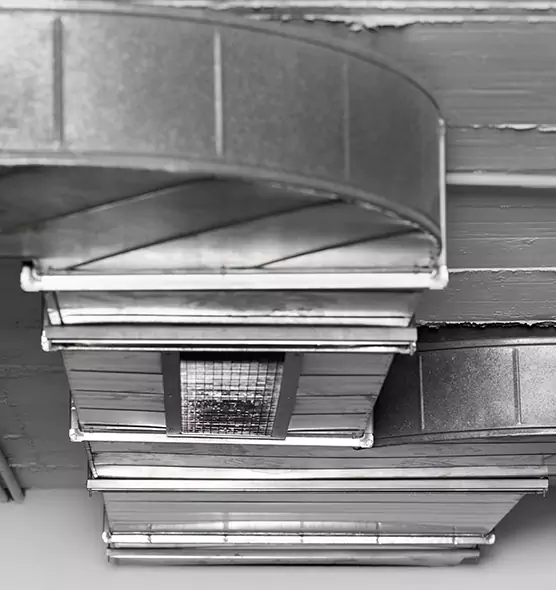 Professional Air Duct Pet Hair Removal in Pottstown, PA