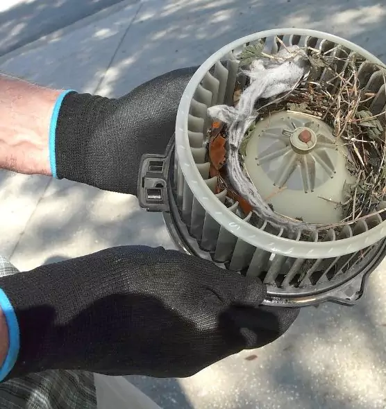 About Air Duct Rat Removal in Pottstown, PA