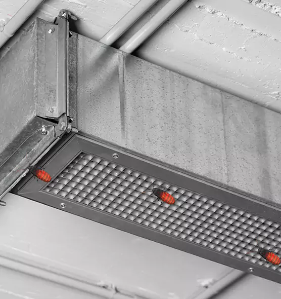 Affordable Insect Removal from Air Ducts in Pottstown, PA