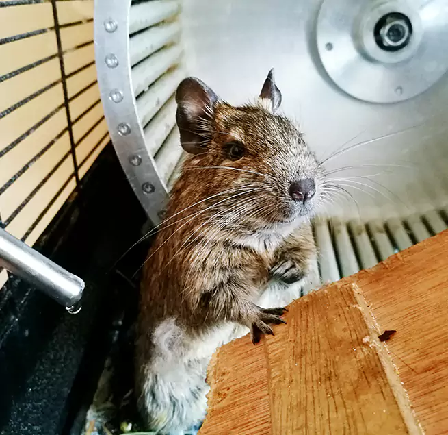 Why Homeowners & Businesses Trust Us Pottstown, PA